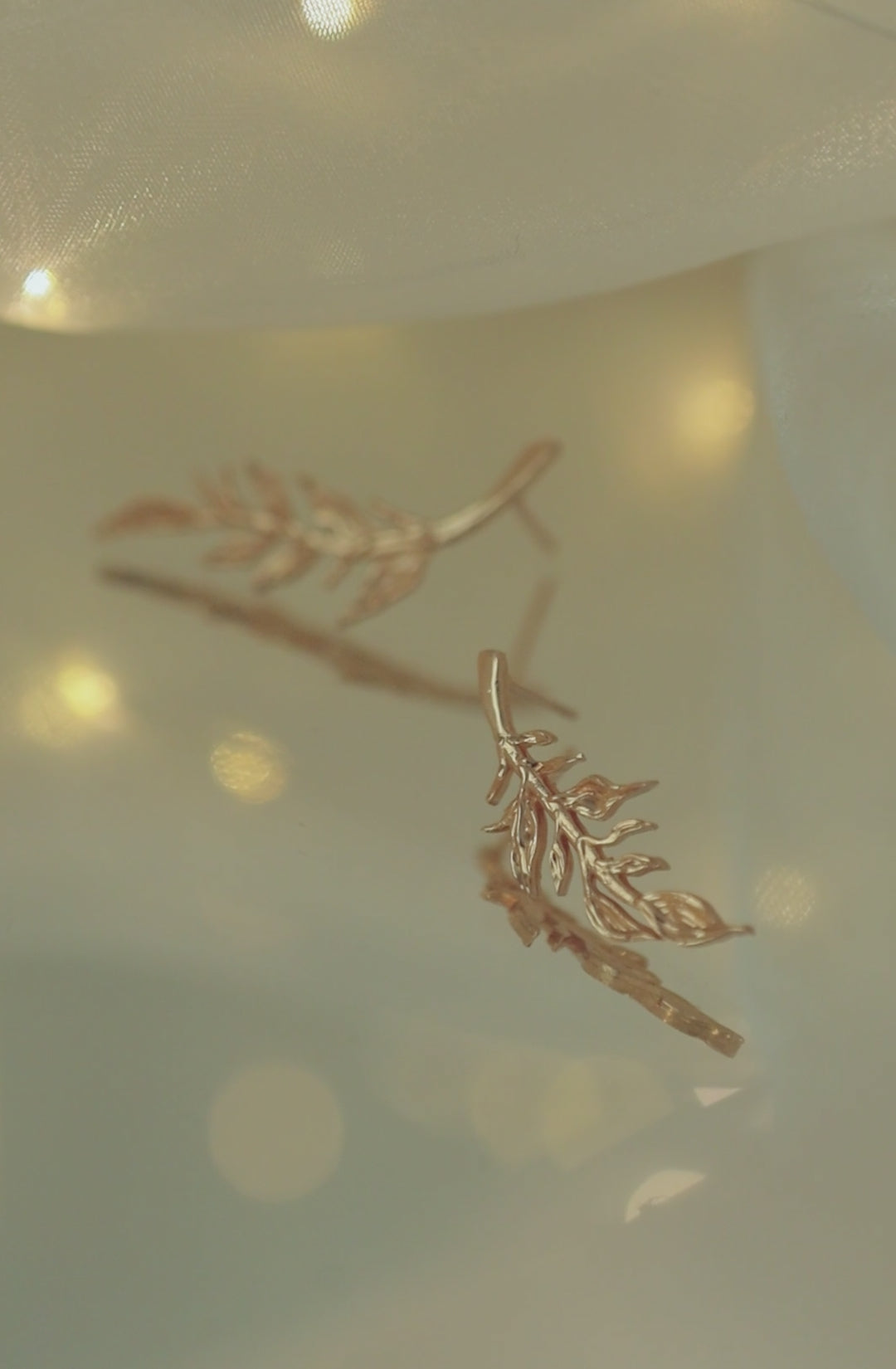 Aretes Naturaleza